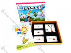 幼儿教学益智动植物标本图3