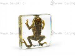简介：