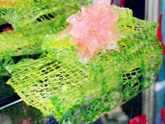 　这是南京百川行远激光科技有限公司研发的产品。它主要采用冷墨技术，无高温，避免烫伤孩子。并且可以根据作画需要调节出墨速度，高精传感仪器避免灯光对儿童眼睛的伤害。

　　我们可以看到，这些解决方案将教育和互联网结合起来，无疑为教育注入了新的活力。也为院校在教务教学、升学率及教育改革方面提供教育信息技术手段，从而寻求突破。