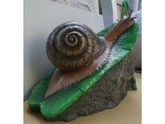 生物模型图2