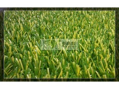 多利隆幼儿园人造草坪油菜花草坪美观大方图2
