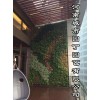 河南城市园丁_郑州垂直植物墙制作,垂直绿化