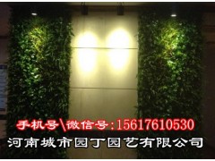 河南城市园丁_郑州垂直植物墙制作,垂直绿化图2