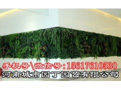 河南城市园丁_郑州垂直植物墙制作,垂直绿化图3