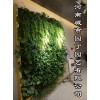 郑州垂直植物墙制作!郑州立体绿化!垂直绿化!|挡墙立体