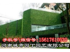 郑州垂直植物墙制作!郑州立体绿化!垂直绿化!|挡墙立体图2