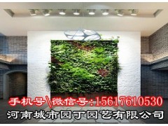 郑州垂直植物墙制作!郑州立体绿化!垂直绿化!|挡墙立体图3