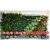 室内郑州垂直植物墙制作展示-河南城市园丁园艺有限公司
