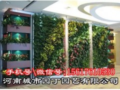 室内郑州垂直植物墙制作展示-河南城市园丁园艺有限公司图2