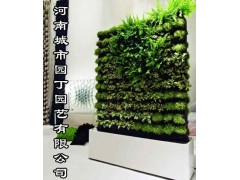 室内郑州垂直植物墙制作展示-河南城市园丁园艺有限公司图3