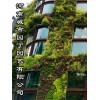 城市园丁郑州垂直植物墙制作-河南城市园丁园艺有限公司