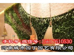 城市园丁郑州垂直植物墙制作-河南城市园丁园艺有限公司图3