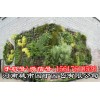 河南郑州垂直植物墙制作_绿化行业领先品牌