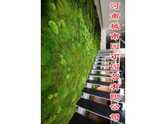 河南郑州垂直植物墙制作_绿化行业领先品牌图2