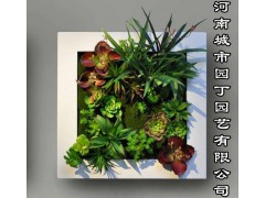 河南郑州垂直植物墙制作_绿化行业领先品牌图3