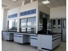 LABCOCO实验台 通风柜图2