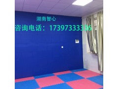 湖南智心宣泄墙ZX-XXQ图2