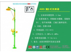 ABS复合式冲淋洗眼器耐酸碱ABS供应商紧急洗眼器图2
