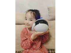 小学生英语智能机器人图2
