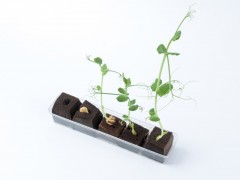 简介：