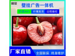 欧锐厂家 65寸查询机广告机卧式壁挂式自助服务终端一体机图3