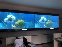 福建46寸液晶拼接_视频拼接_液晶拼接屏方案图3