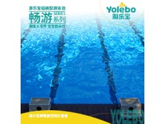 四川大型室内家用游泳池恒温洗浴中心泳池设备胶膜内胆图3