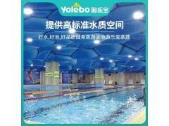 江苏游泳组装池逆流训练设备大型拆装式钢结构泳池恒温游泳池图2