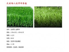 人造草坪厂家图3