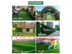 人造草坪厂家图3