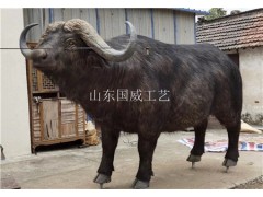 皮质仿真水牛模型图2
