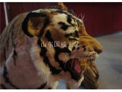 租赁仿真老虎展览模型图3