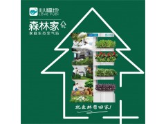 智能种菜机 空气治理器 空气加湿净化除甲醛图2