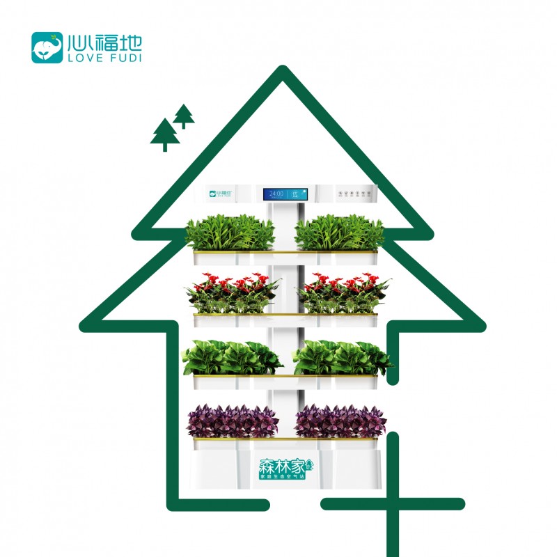 森林家-淘宝_画板 1 副本
