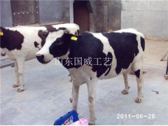 仿真奶牛科教模型仿真展览奶牛标本图2