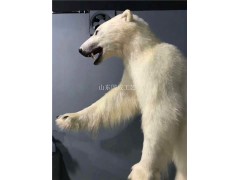 植毛型仿真北极熊标本主题展览白熊模型影视机械仿真北极熊动态道具图2