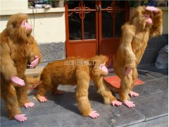 仿真金丝猴生态展厅设计展示仿真猴子模型布景图3