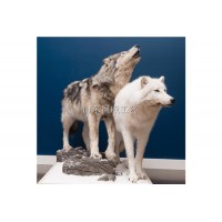 仿真灰狼生态展厅设计科教仿真灰狼模型