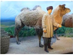 仿真骆驼生态展厅布景仿真骆驼植毛标本图2