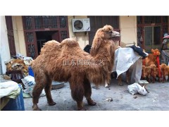 仿真骆驼生态展厅布景仿真骆驼植毛标本图3