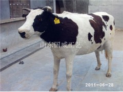 仿真奶牛模型生态展厅设计科教植毛奶牛标本图2