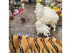 仿真绵羊模型生态展厅设计教学仿真绵羊标本图2