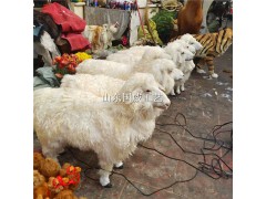仿真绵羊模型生态展厅设计教学仿真绵羊标本图3