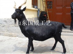 仿真山羊生态展厅布景教学仿真山羊标本模型图2
