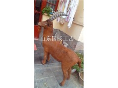 仿真山羊生态展厅布景教学仿真山羊标本模型图3