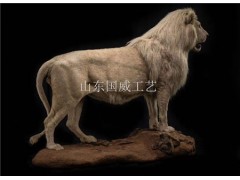 仿真狮子生态展厅设计展览仿真狮子标本图2
