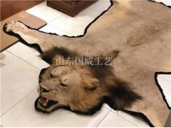 仿真狮子生态展厅设计展览仿真狮子标本图3