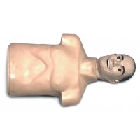益联医学老年半身心肺复苏训练模拟人 半身CPR教学模型